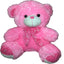 60cm (2 ft) Teddy Bear Pink