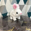 Walking Plush Rabbit With Music & Light-Rabbit Toy with Cute Voice