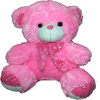 60cm (2 ft) Teddy Bear Pink