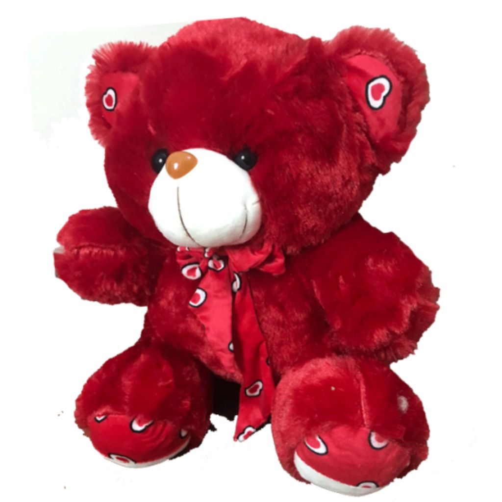 50 cm (1.6 feet) Teddy Bear Soft Plush Stuffed Toy For Kids