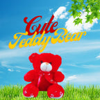 60cm (2 ft) Teddy Bear Red