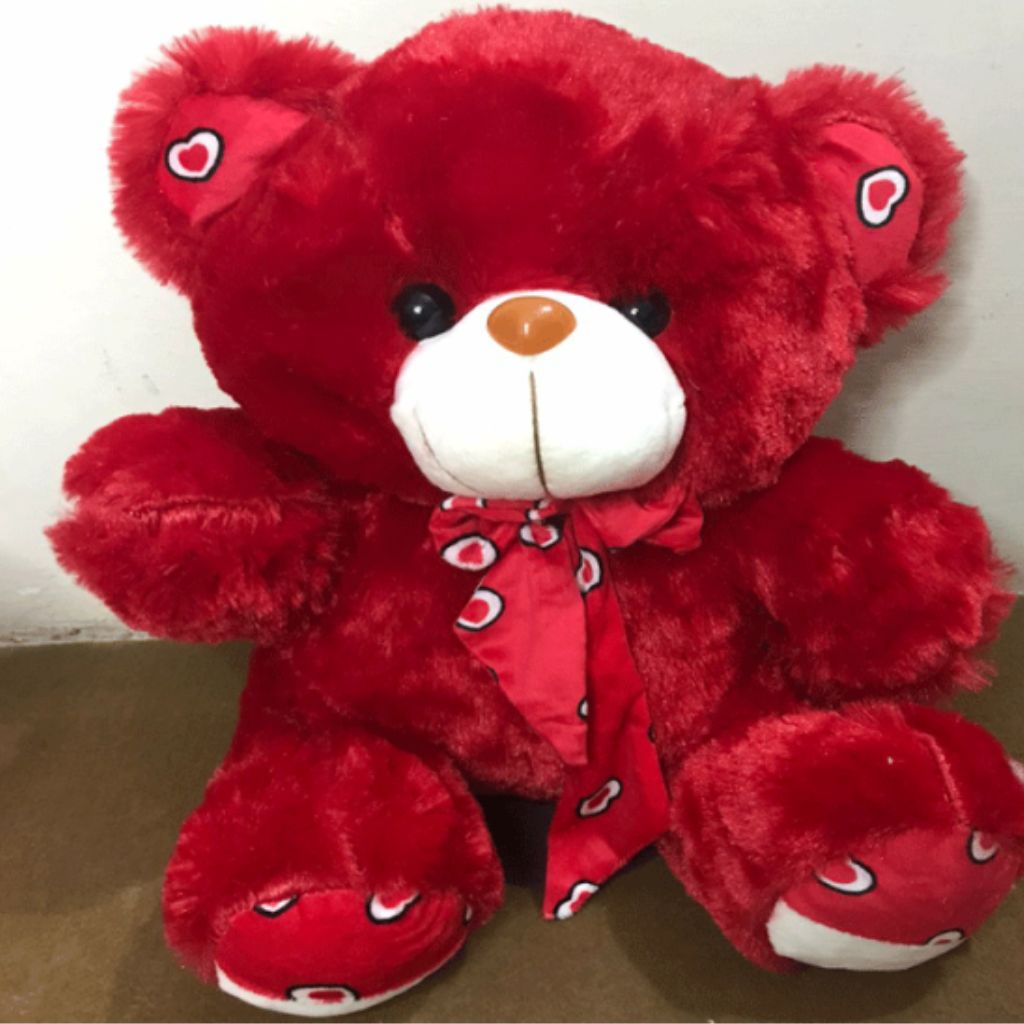 50 cm (1.6 feet) Teddy Bear Soft Plush Stuffed Toy For Kids