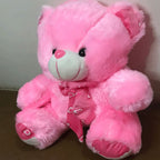 50 cm (1.6 feet) Teddy Bear Soft Plush Stuffed Toy For Kids