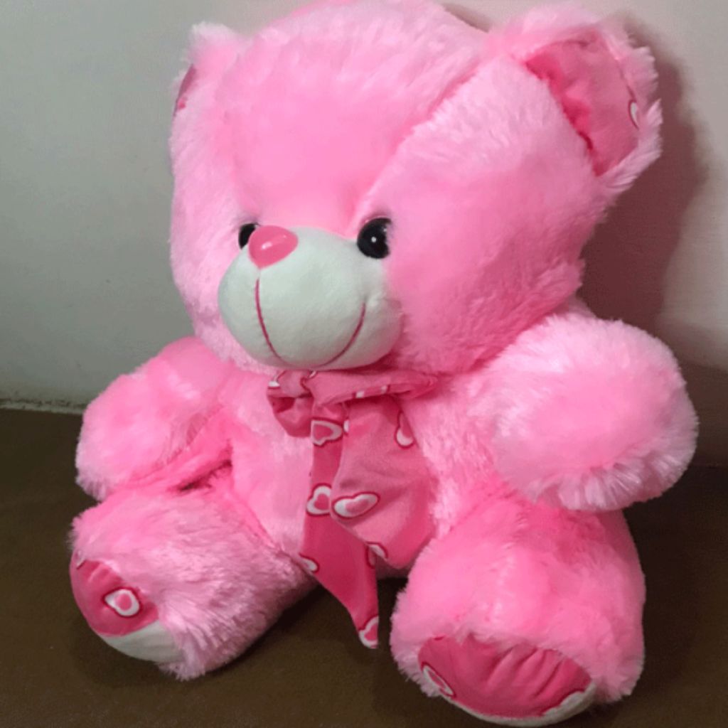50 cm (1.6 feet) Teddy Bear Soft Plush Stuffed Toy For Kids