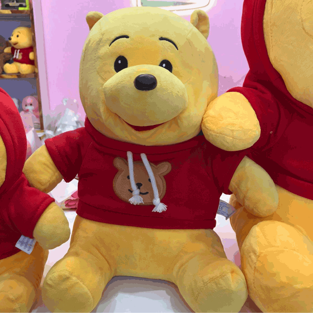Snuggle Pooh Plush Teddy Bear