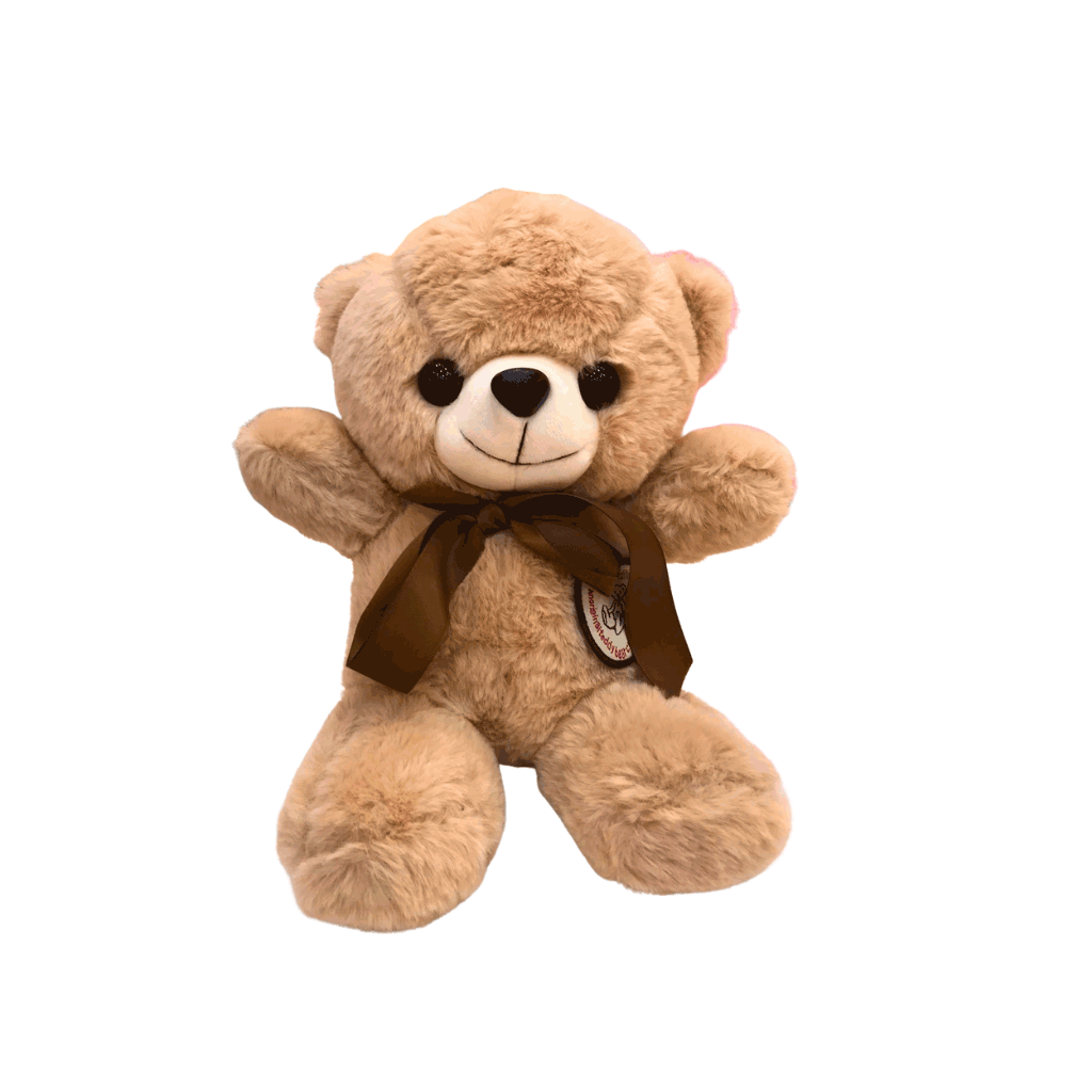 Cute Teddy Bear